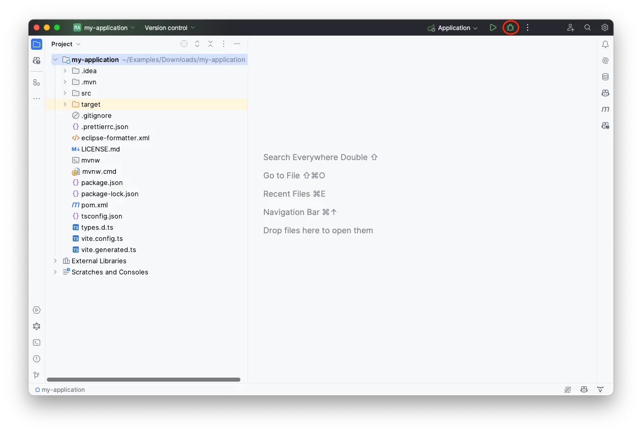 Debug button in IntelliJ IDEA